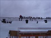 Global Village 2005 (17)